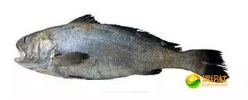 舟山海鲜攻略2天3晚吃什么,舟山海鲜代加工攻略