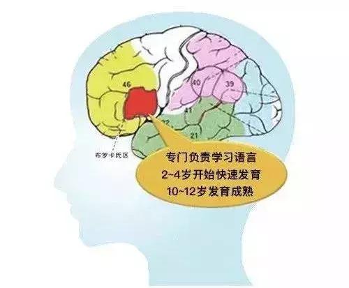 宝宝英语启蒙中儿歌如何听有效果,宝宝启蒙英语儿歌要听多久