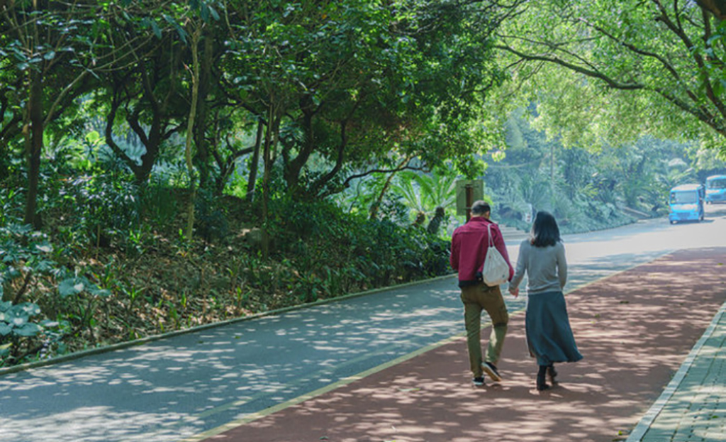 南宁城市绿肺青秀山景区,南宁绿肺青秀山
