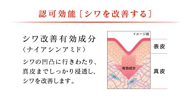 花王抗皱精华液 (花王旗下的牌子有哪些)