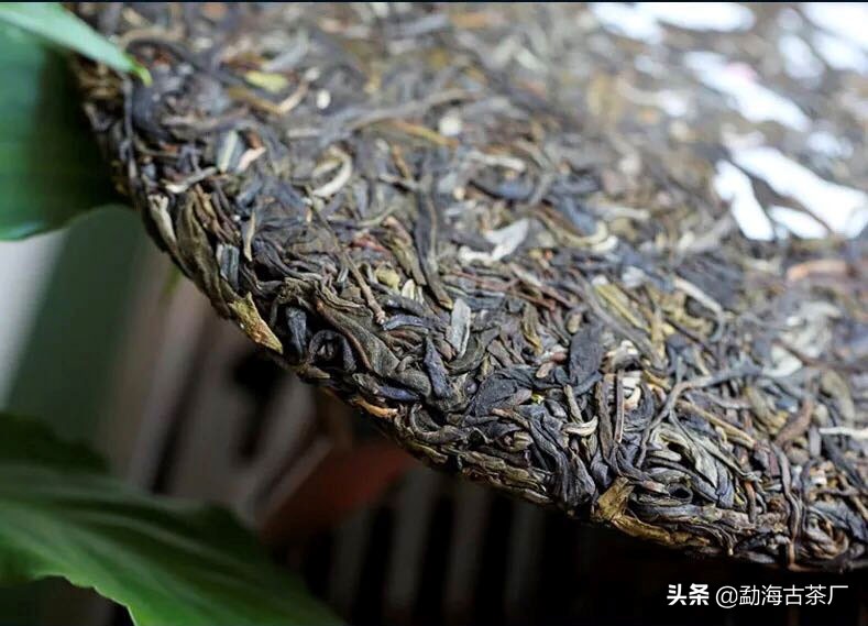 勐海深山老林茶厂普洱茶,普洱茶老品牌茶厂
