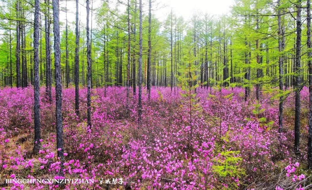 寻找中国最美的春季,探寻中国最美秘境