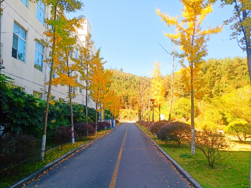 贵州盛华职业学院招生办电话,贵州盛华职业学院靠谱吗