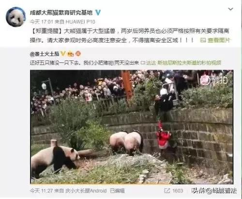 成都大熊猫繁育基地事件,成都大熊猫繁育研究基地事件