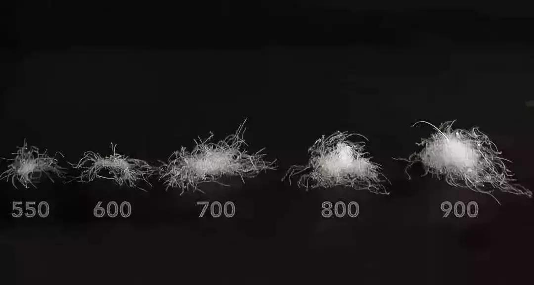 羽绒服你们都在哪里买,想买羽绒服又舍不得买