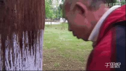 撞树、火疗、喝尿....谁是土法养生界的霸主？