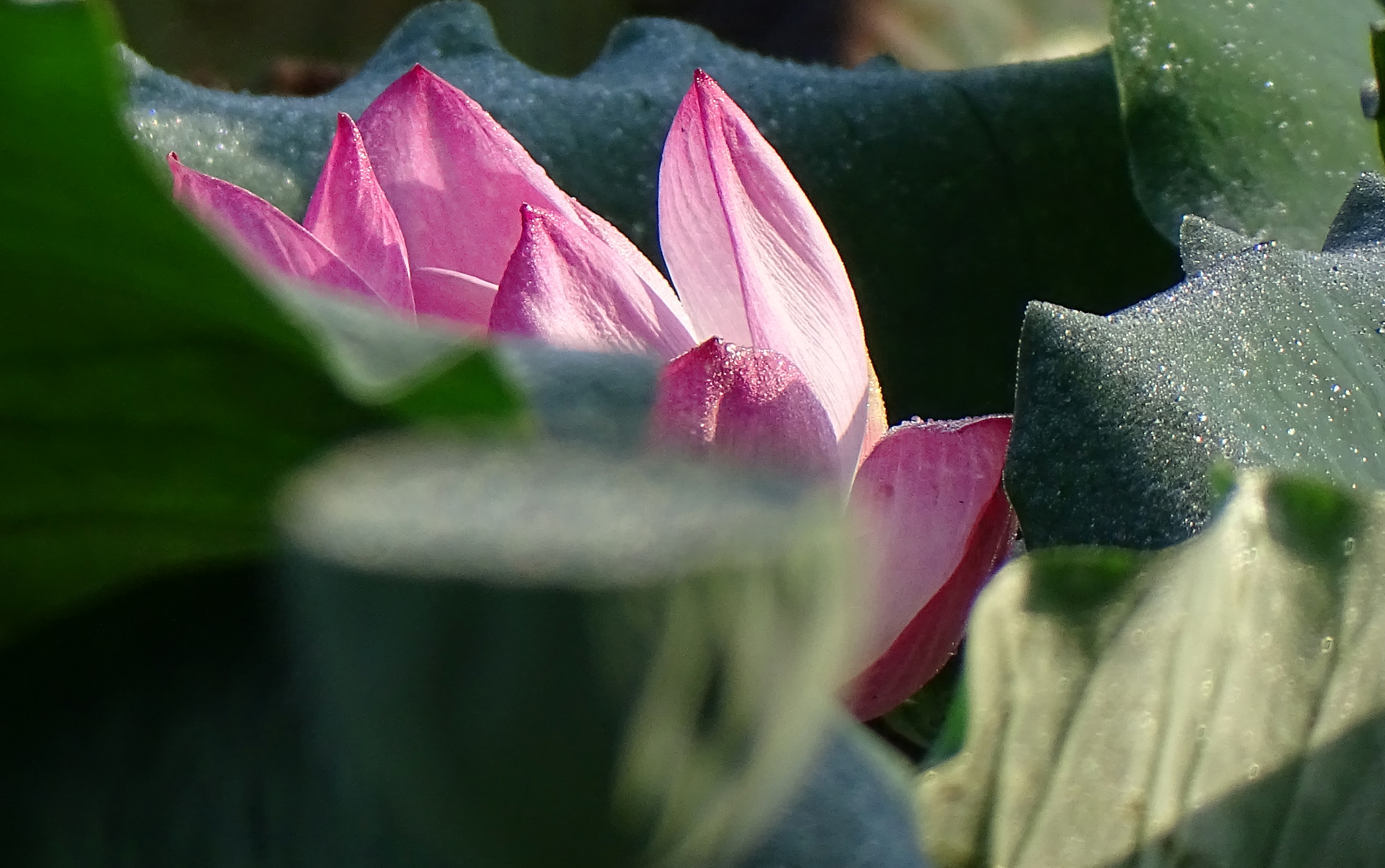 索尼dsc-hx400拍飞机效果,索尼dsc-hx400照片调色