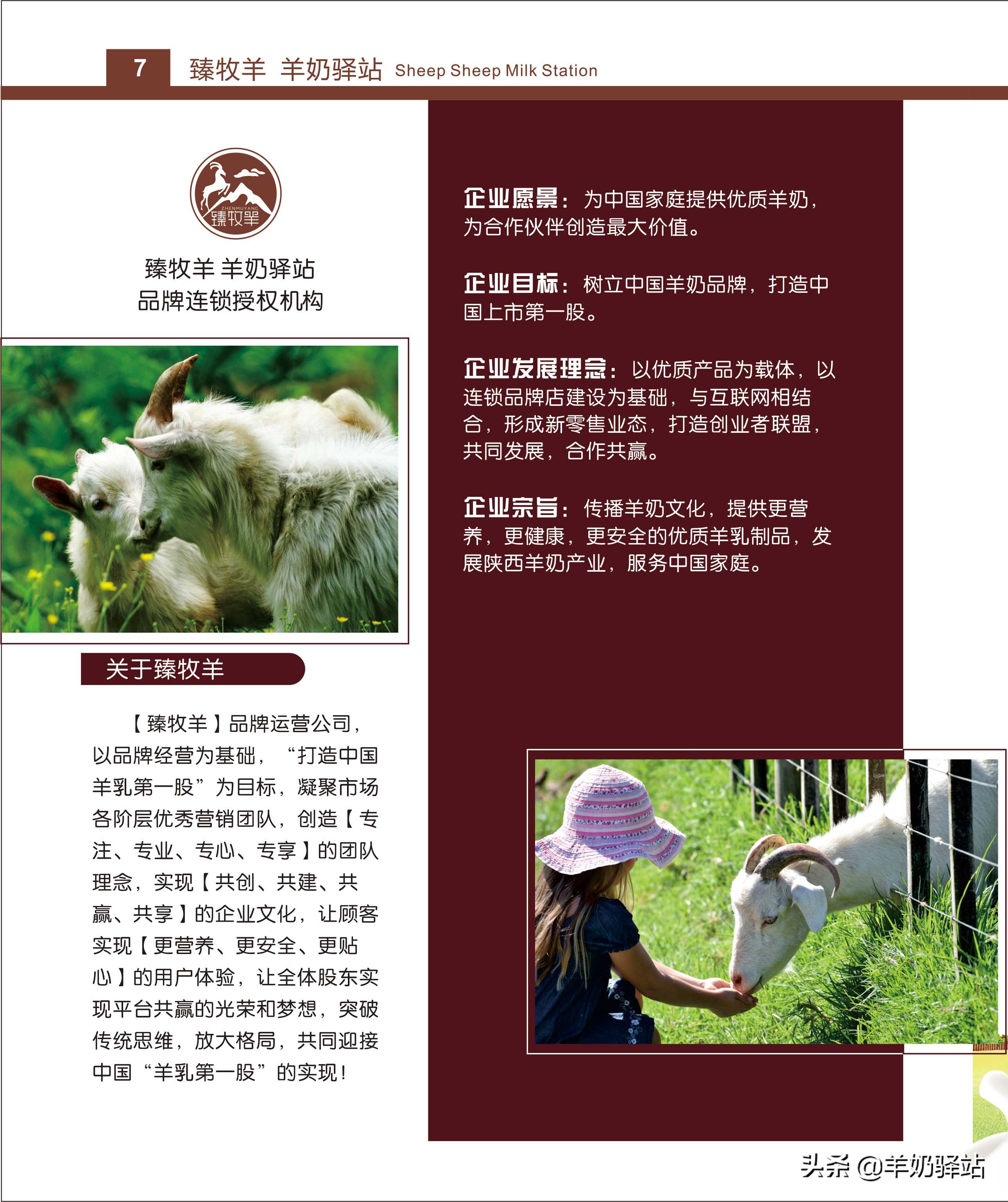 羊奶驿站加盟宣传片,羊奶驿站加盟经营模式