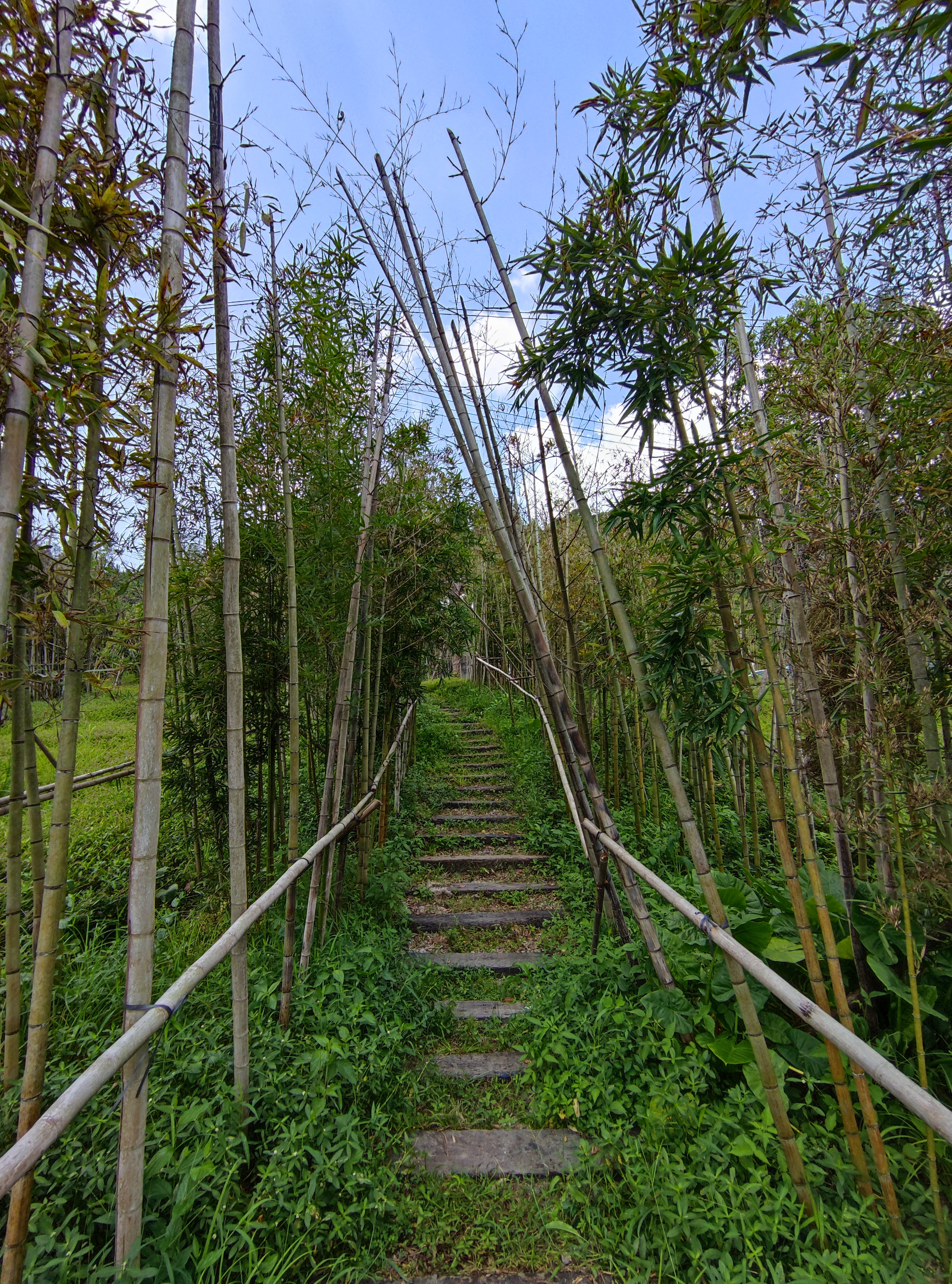 青山网红村,寿山九峰村有农家乐吗