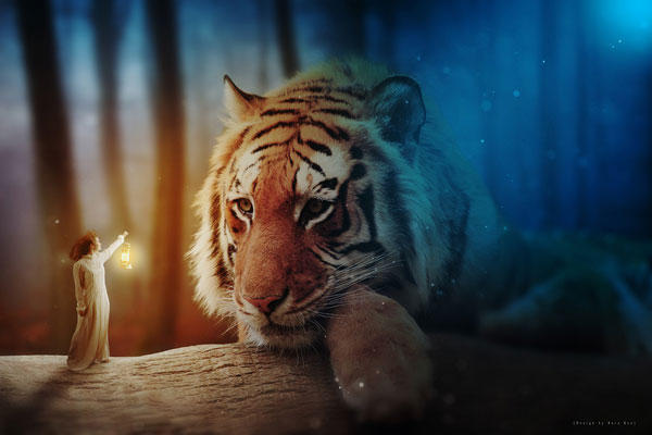 ps照片处理大全,ps如何做创意照片