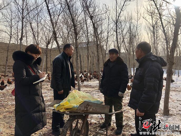 河北脱贫攻坚,图文直播张家口一中