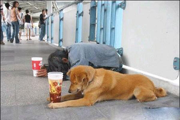 网络乞讨者和线下唯一区别,网络乞丐一天收入