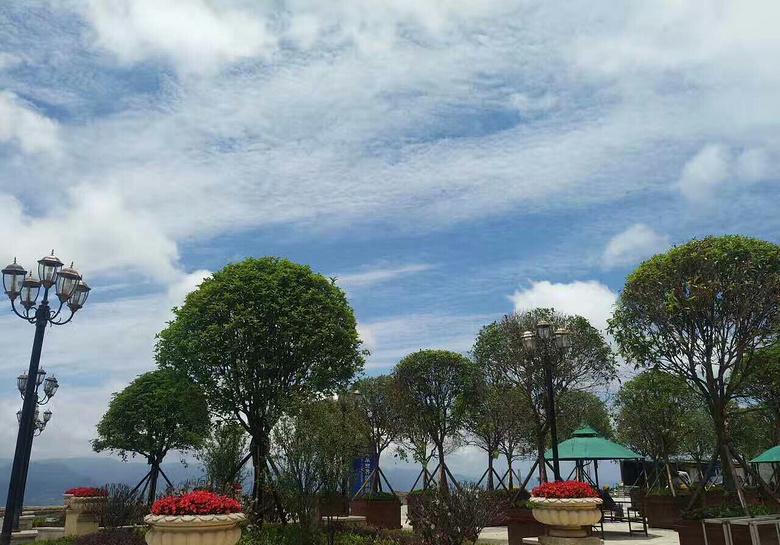 重庆夏天最好的避暑胜地有哪些,重庆适合避暑的地方有哪些