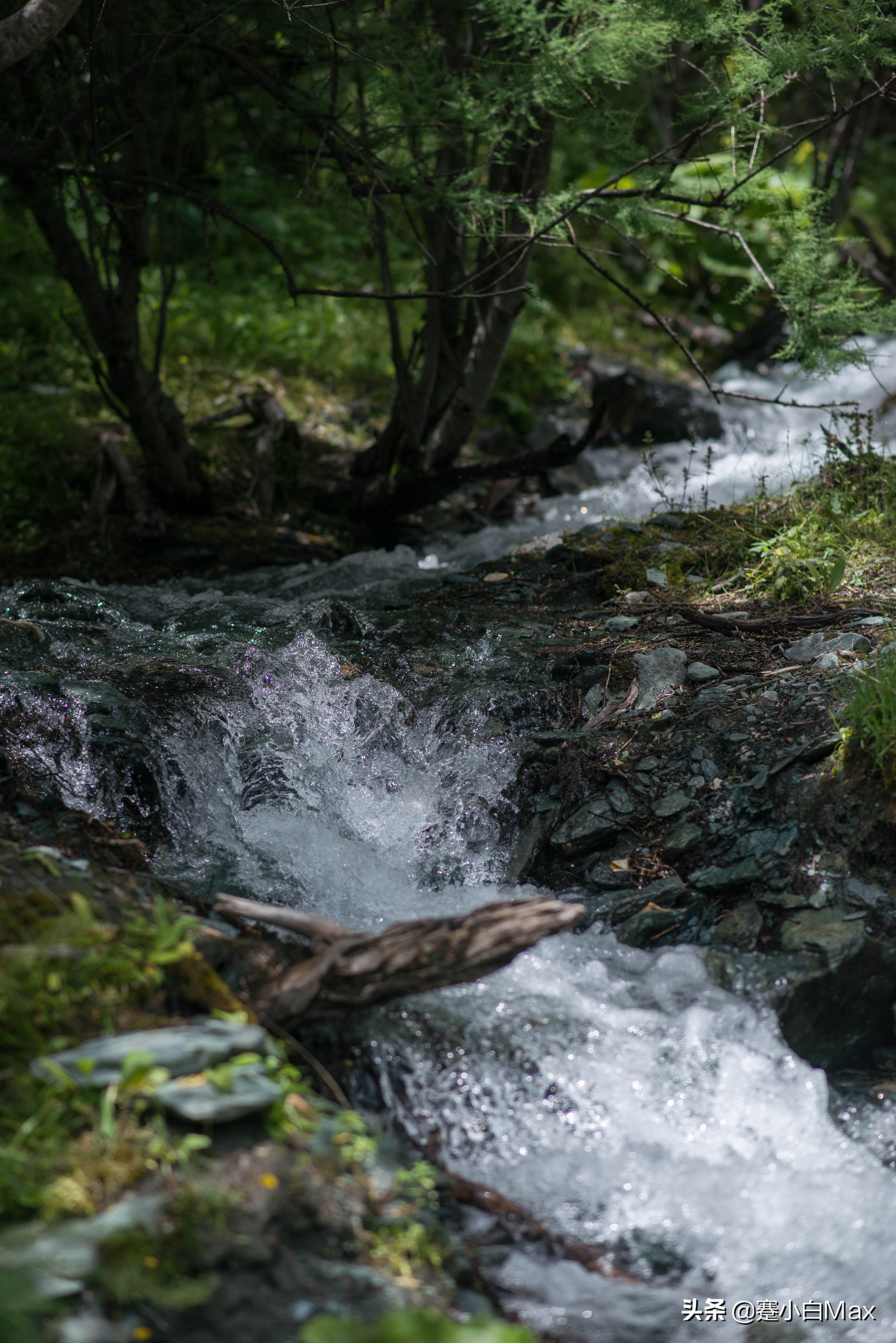 稻城亚丁的文章是谁写的,关于稻城亚丁的一本小说