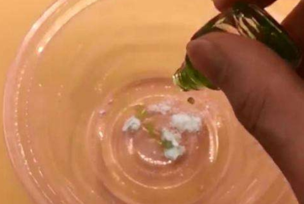 花卉虫子的种类除虫方法,怎么预防花卉生虫