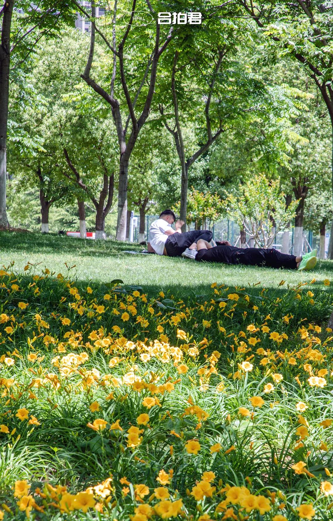 合肥政务区绿轴,绿轴公园合肥