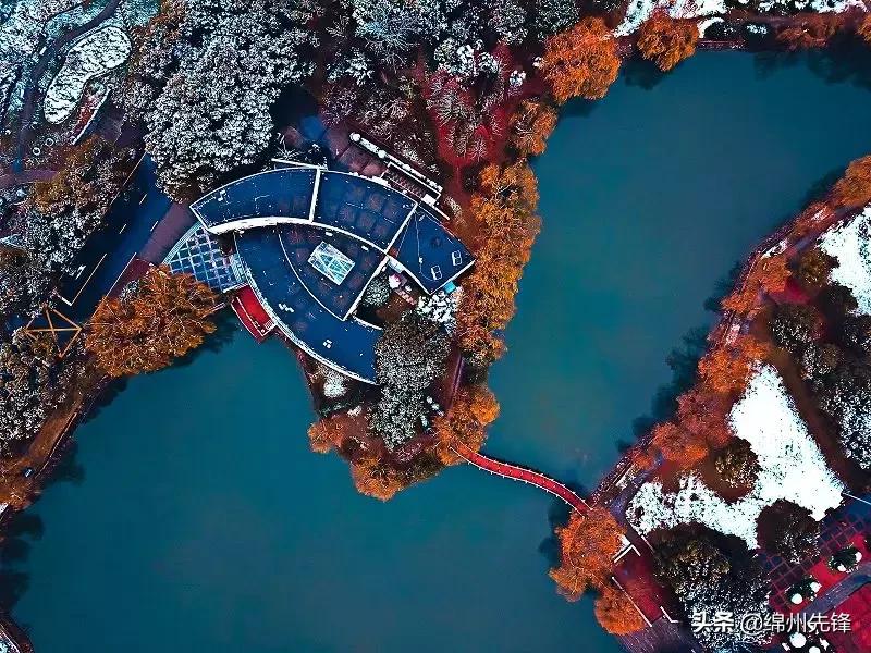 上海交大内部消息,回顾上海交大