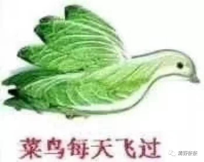 不含酒精的化妆品,不含酒精的化妆品有哪些品牌