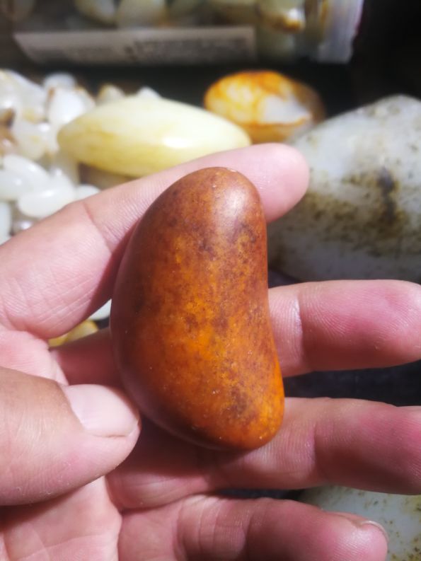 和田玉农盼望主播去村里直播帮忙出籽。