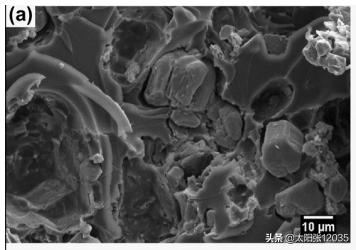 三聚氰胺纤维金雨薇学习翻译