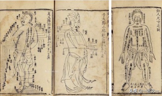 《说文解字》不仅是字典,还是上古知识的百科全书