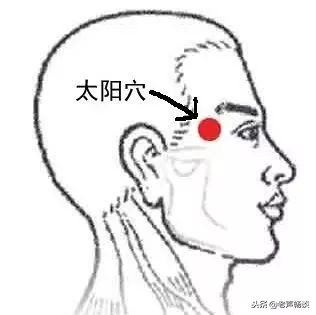 健康科普今日立冬该怎么吃,立冬十大必吃食物