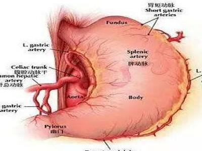 胃窦炎有什么症状,胃窦炎的症状有哪些