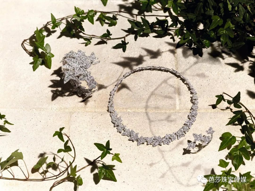 揭秘珠宝圈百年“网红”，常春藤凭什么得到这么多宠爱？