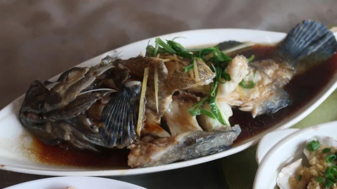 在海南岛最霸气的渔港码头,海南十大渔港码头