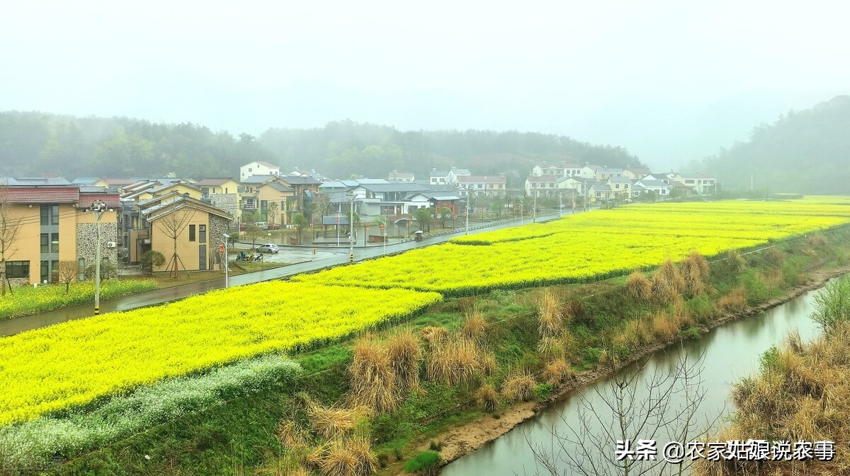 农村户口没房子住该找谁,如果一家有两个户口怎么办
