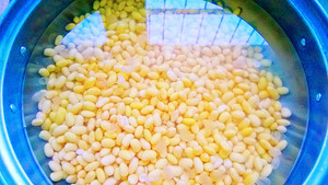 卤汁豆腐脑的做法视频,北方的豆腐脑一般是卤汁豆腐脑