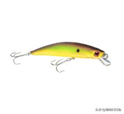 北美钓鱼入门技巧,加拿大钓鱼装备新手推荐