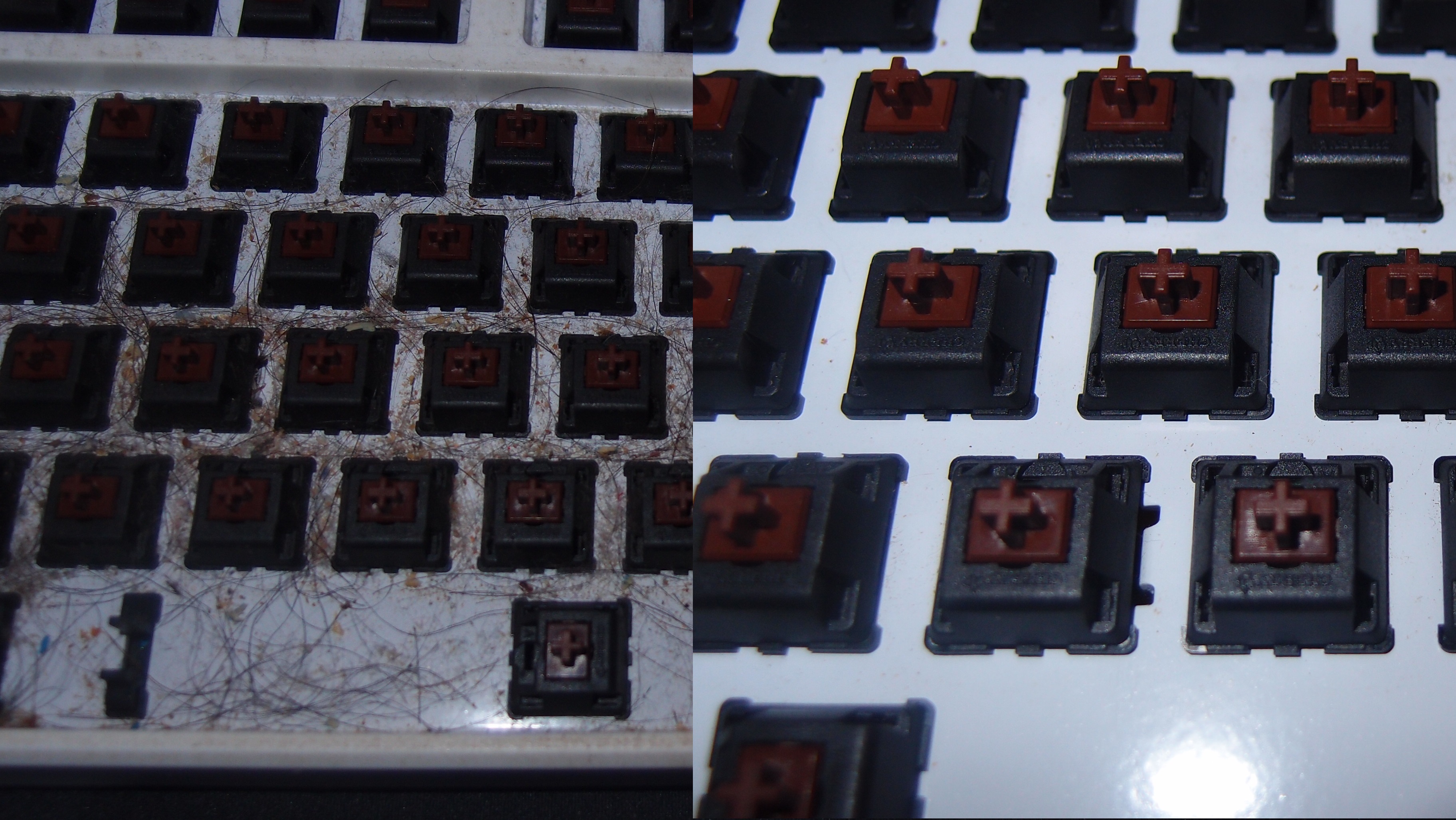 电脑键盘太脏教您一招清洁键盘,机械键盘清洗方法小妙招图解