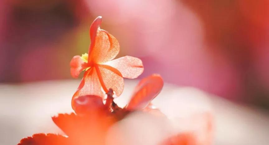 当友情遇到危机，如何理智解决呢？