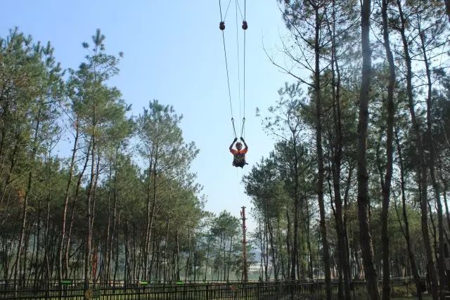 温州旅游景区一日游,温州海边旅游景区推荐