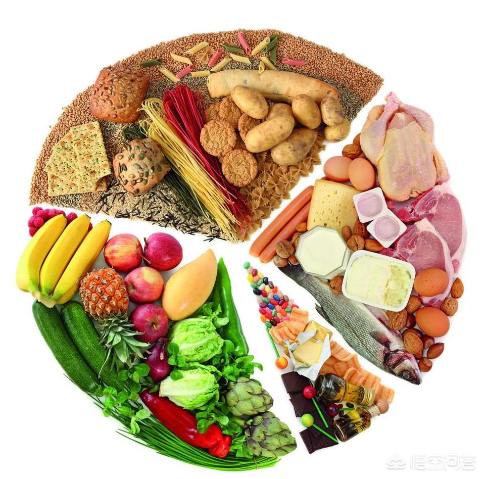合理减肥食谱三餐吃什么食物,科学合理的减肥食谱