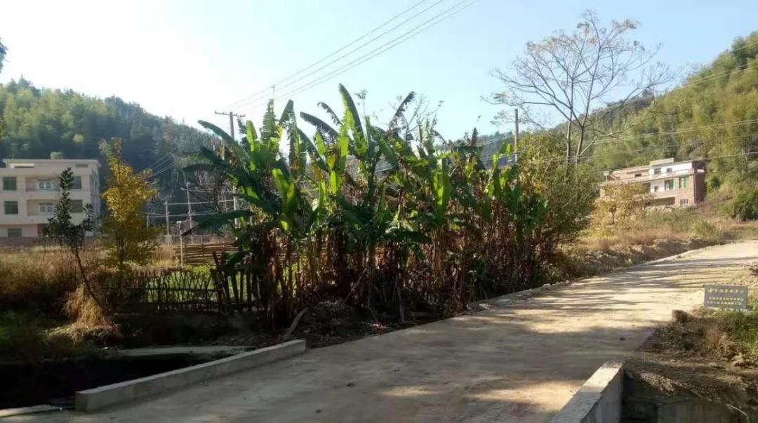 大坪上洛村,深度贫困村打赢翻身仗