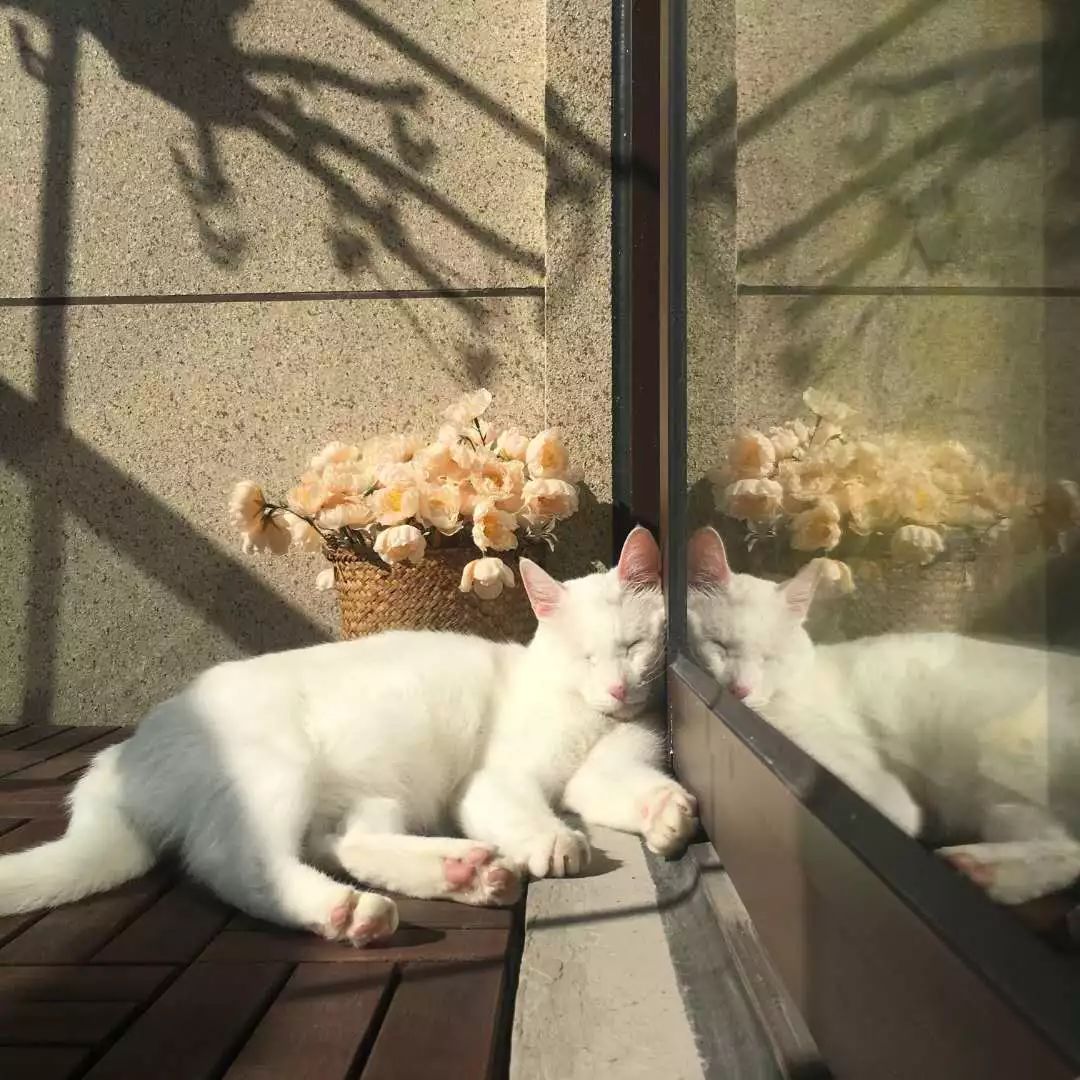 90后设计师妹子仅用5万，将89㎡装成温馨洋房！