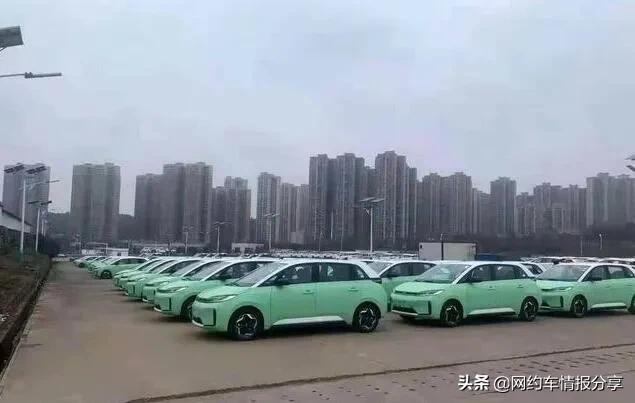 滴滴d1司机招募条件,滴滴d1招募