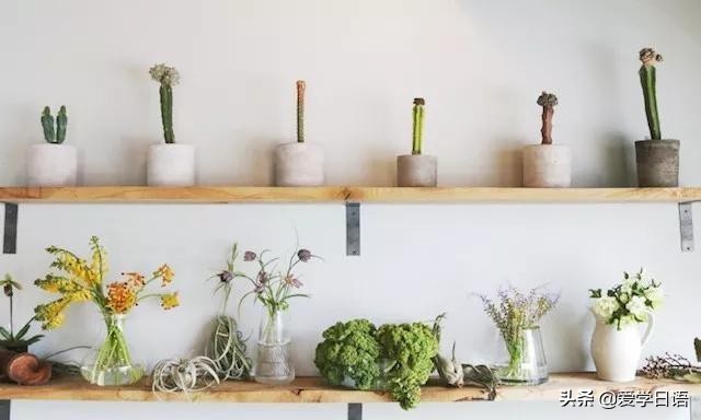 日本花店,日本花店是什么