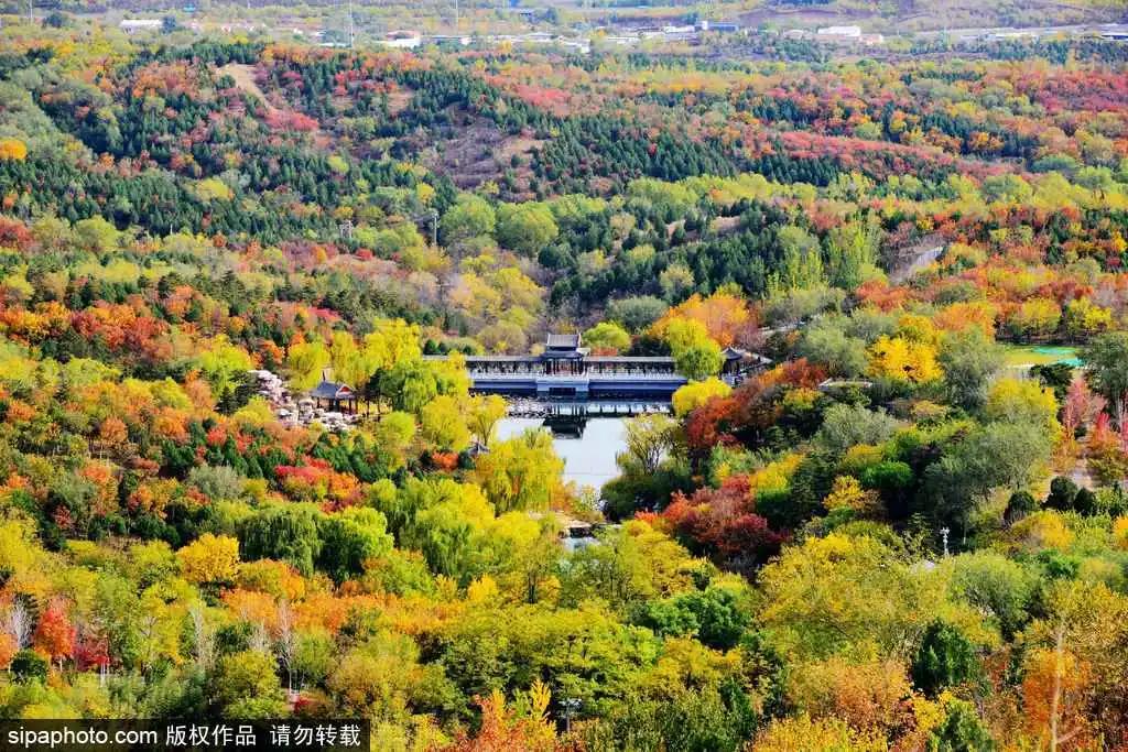 部分免费！北京赏秋“性价比”最高选择都在这儿了！