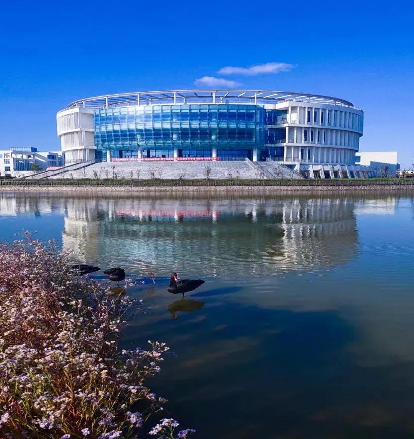 南通大学杏林学院多大面积,南通大学杏林学院排名