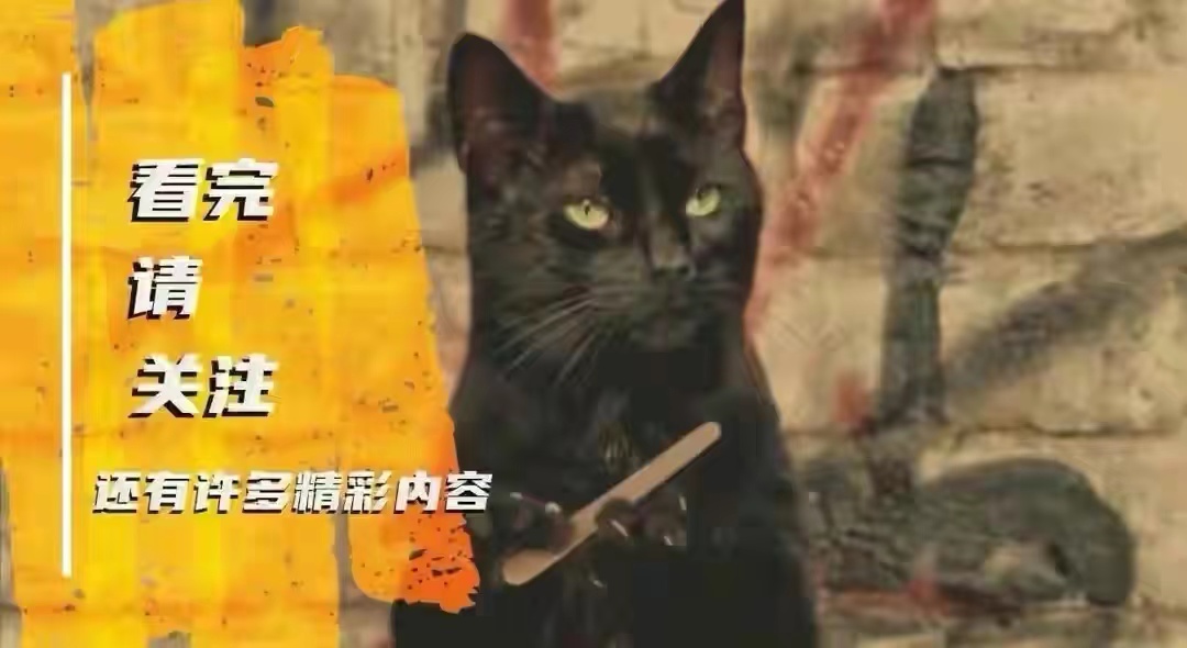 红河野猪视频,红河猪是入侵物种吗