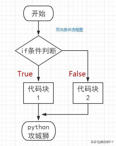 python必背简单代码,python编写选择性程序