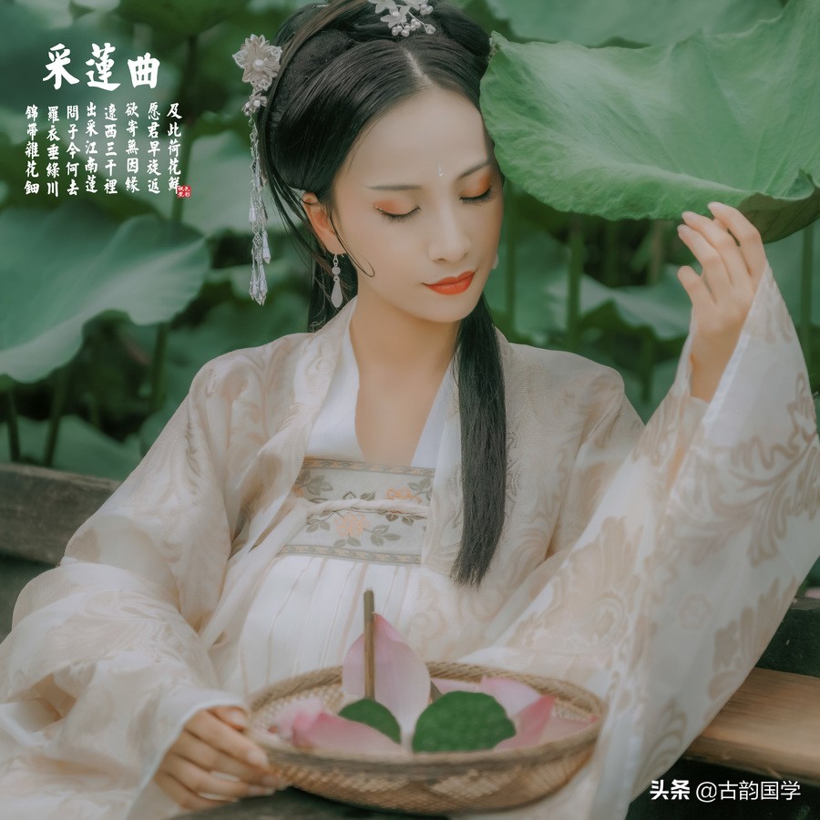 荷花诗词38首,荷花的诗词大全100首