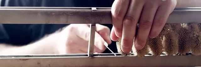 鍖呯鏃ヨ鍏ㄩ泦瑙ｈ,鍖呯鏃ヨ鎺ㄨ崘