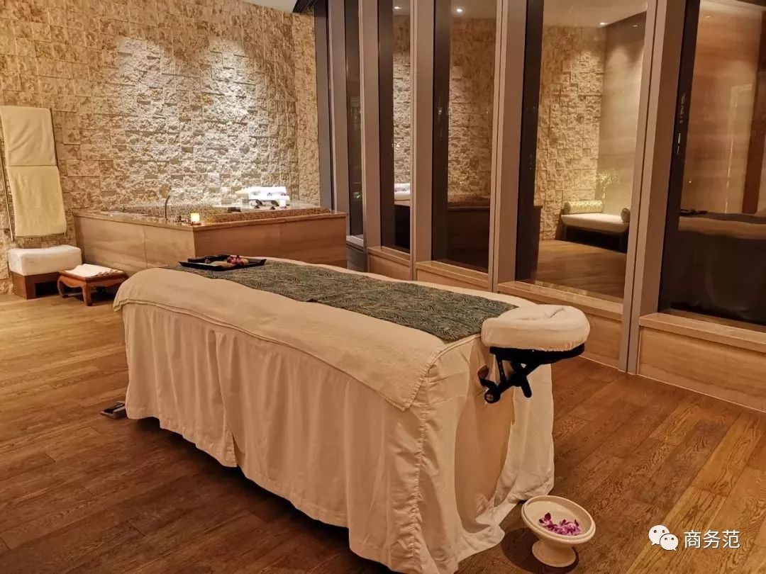 为什么戴妃这么美,戴妃为什么喜欢老佛爷