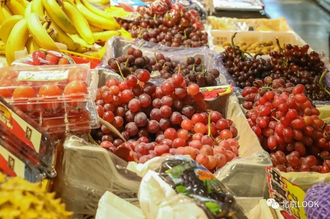 北京最大的露天花卉,北京最大的花卉大观园