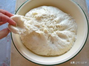 酵母泡打粉和普通泡泡粉的区别,酵母泡打粉小苏打一起用效果咋样