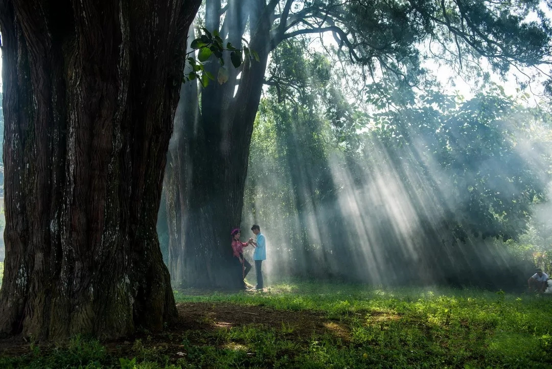 户撒佛祖的后花园现在怎么走,户撒为什么叫佛祖后花园